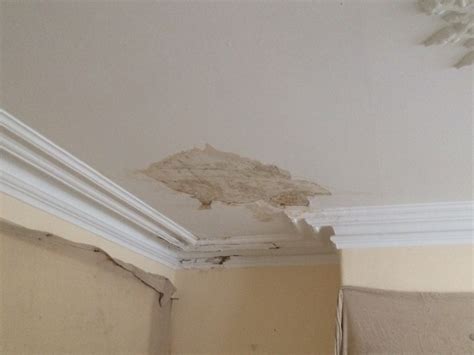 Just because you do not see it does not mean the backside of the drywall was not damaged. How To Repair Ceiling Water Damage Plaster | www ...
