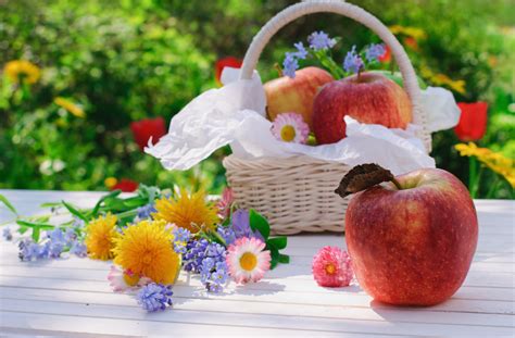 В четверг, 19 августа, весь православный мир отмечает праздник преображение господне или, как говорят в народе, яблочный спас. Яблочный Спас - что можно и что нельзя святить в церкви