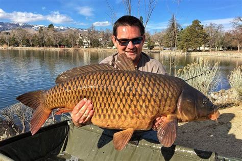 Look Nevada Mans 35 Pound Carp Breaks State Record