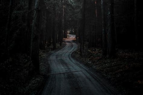 Wallpaper Forest Road Winding Dark Nature Hd Widescreen High