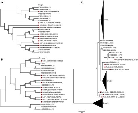 Phylogenetic Trees Generated Using Gag A Pol B And Env C Sequences Download Scientific