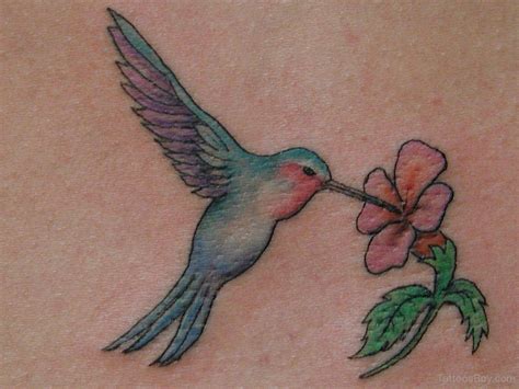 Hummingbird Tattoos Tattoo Designs Tattoo Pictures Page 11