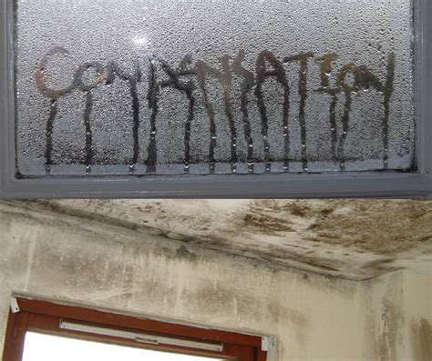 How To Stop Damp In Bathroom Without Window Artcomcrea