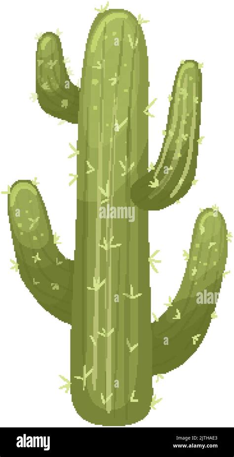 Cactus Desert Cartoon Vector Illustration Stock Vector Image And Art Alamy