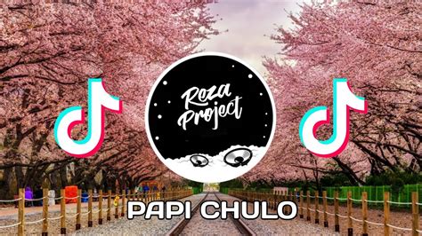 Tik Tok Viral Dj Papi Chulo Remix Full Bass Youtube