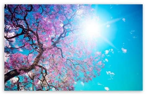 49 Full Screen Spring Wallpapers Wallpapersafari