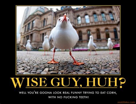 Wise guys is an abundant movie, filled with ideas and gags and great characters. Wise Guys Movie Quotes. QuotesGram
