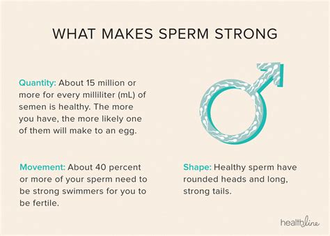 The Step Checklist To Healthy Fertile Sperm