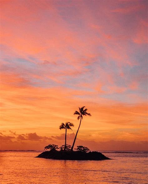 Paradise Sunset Sunrise Tropical Island Palm Trees