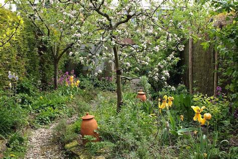 Edible Forest Garden In Spring Small Cottage Garden Ideas
