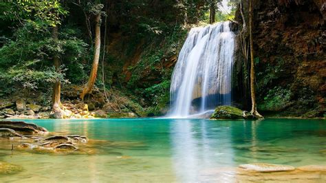 Forest Waterfall For Desktop Wallpaper Nature And Landscape