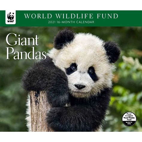 Giant Pandas Wwf Wall Calendar