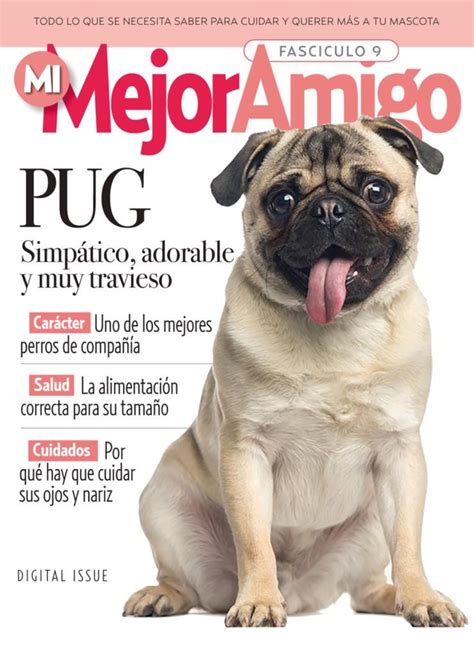 Razas Caninas Mi Mejor Amigo Back Issue Fasciculo 9 2021 Digital