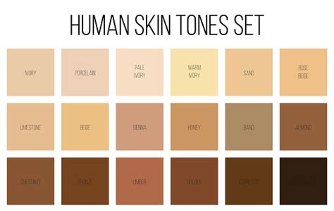 Creative Vector Illustration Of Human Skin Tone Color Palette Set