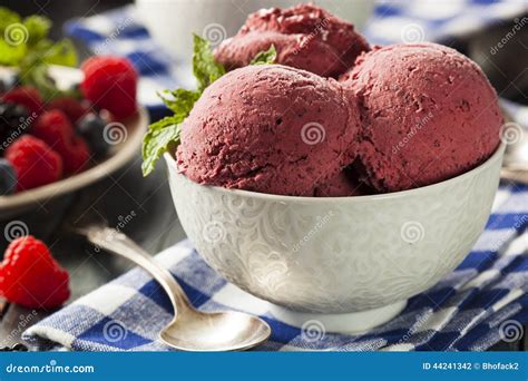 Homemade Organic Berry Sorbet Ice Cream Stock Photo Image Of Frozen