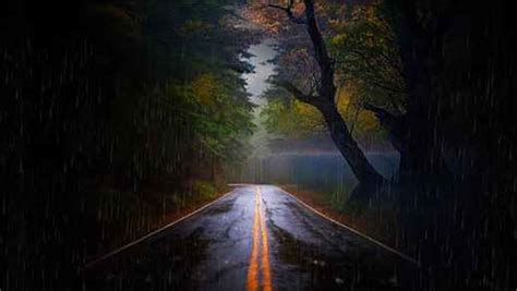 Autumn Rainy Day Road Forest Live Windows Live