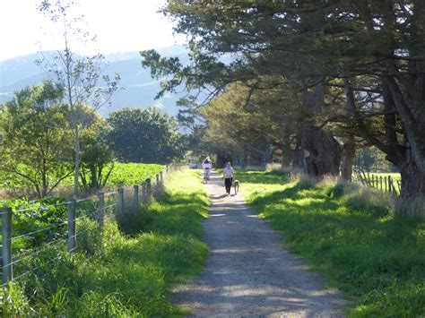 The Greytown Trail Walking New Zealand Magazine And Shop