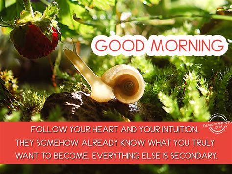 Follow Your Heart And Your Intuition