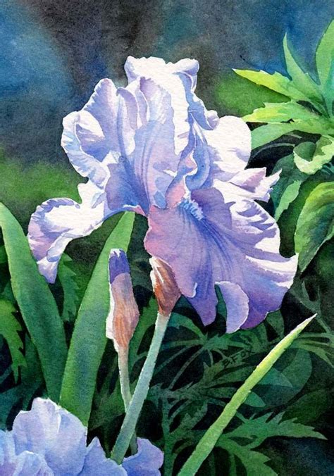 Barbara Fox Daily Paintings Iris Painting Daily Painting Floral