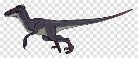 Jurassic Park 3 Male Velociraptor Clipart Jurrasic World Raptor Cartoon
