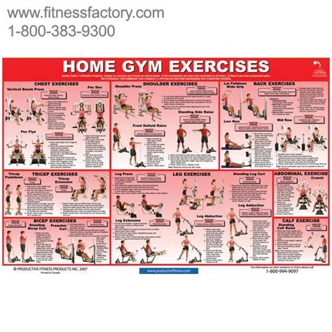 Laminated Poster Home Gym Exercises