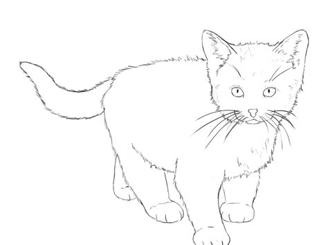 How To Draw A Kitten Draw Central