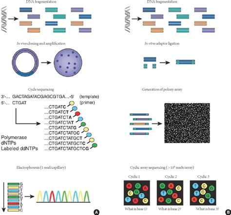 Pdf Trends In Next Generation Sequencing And A New Era For Whole