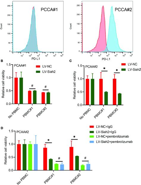 Siah Enhanced Antitumor T Cell Immunity In A Pd L Dependent Manner