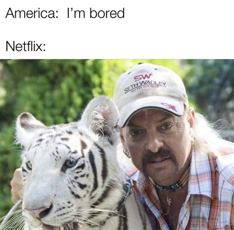 These Amazing Tiger King Memes Are The Perfect Distraction What A