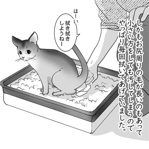 愛猫のお尻を15年間拭き続けた結果→猫「お尻は拭いてもらうもの」 自分の汚れにズボラになってしまった猫の漫画（1 2 ページ） ねとらぼ