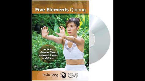 five elements qigong ymaa dvd preview youtube
