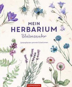Herbarium deckblatt vorlage zum ausdrucken kostenlos Deckblatt Herbarium - 2 | Deckblatt gestalten, Deckblatt ...