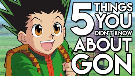 5 Things You Probably Didnt Know About Gon Freecss 5 Facts Hunter