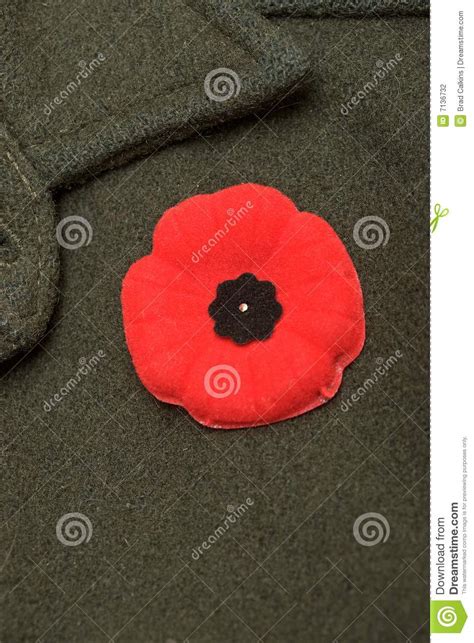 Remembrance Day Stock Photo Image Of Poppy Green Veterans 7136732