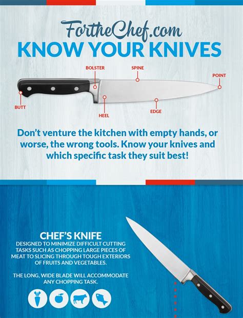 Knives that will not set off metal detectors and have a pointed tip are illegal. INFOGRAPHIC 8 Different Types of Knives Explained - News ...