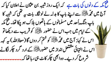 Hazrat Muhammad Saw Story ॥ Moral Stories In Urdu ॥ Sabaq Amoz Kahani