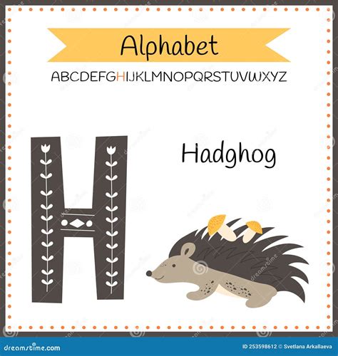 Cute Children Animal Alphabet H Letter Flashcard Of Hedgehog For Kids