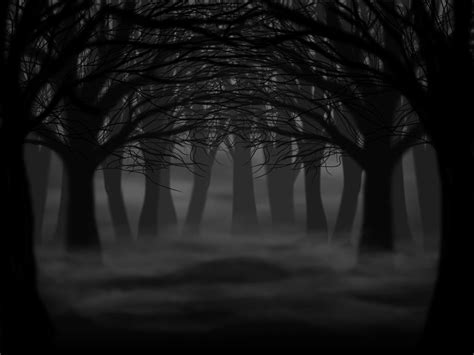 Dark Forest By Shystriker On Deviantart