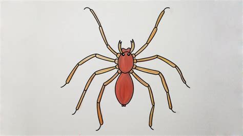 How To Draw A Spider Easy Drawings Youtube Spider Drawing Easy Images
