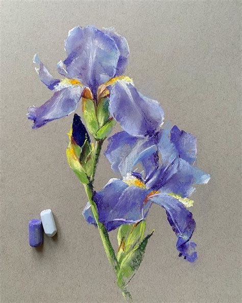 Take A Scroll Through This Collection Of Beautiful Flowers Painted In Soft Pastel By Lenokdih