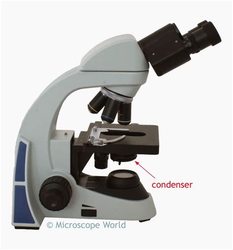 Microscope World Blog May 2015