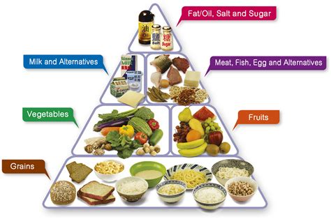 The Food Pyramid A Guide To A Balanced Diet Nutrition Line