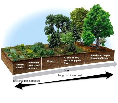 How To Set Up A Permaculture Farm In 9 Steps Permaculture Apprentice