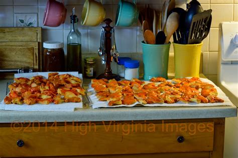 High Virginia Outdoors Freezing Chicken Of The Woods