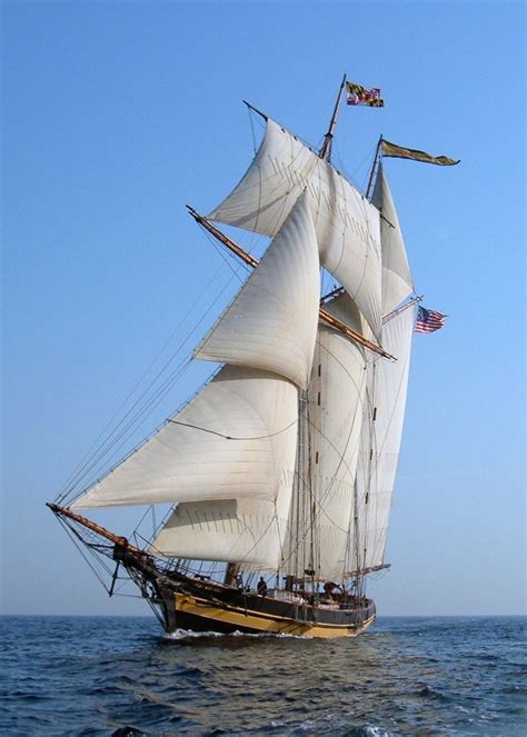 Historic Schooner Things To Do Pinterest Roses Of And Baltimore