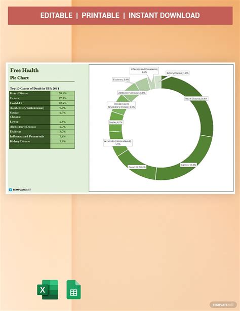 Free Health Pie Chart Google Sheets Excel Template Net