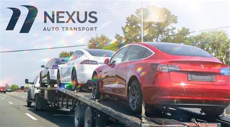 Nexus Auto Transport A Detailed Review 2023