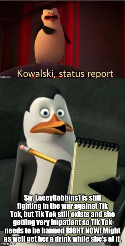 image tagged in kowalski penguins kowalski status report imgflip