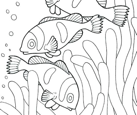 Animal Habitat Coloring Pages At Free Printable
