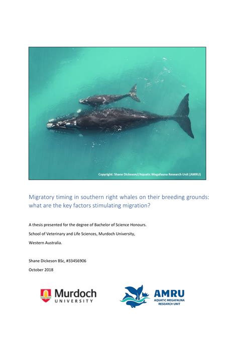 Pdf Migratory Timing In Southern Right Whales On Their Breeding